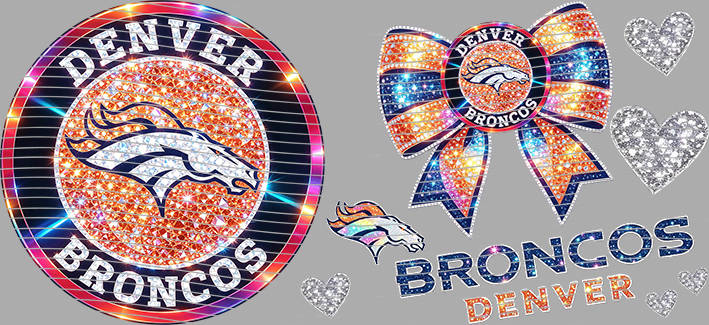 16oz team-NFL 3088